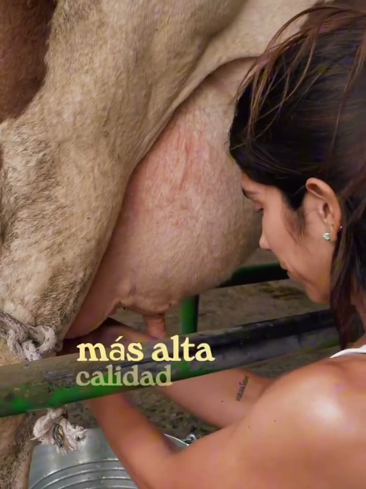 Persona ordeñando una vaca, imagen del reel de Yen Alimentos